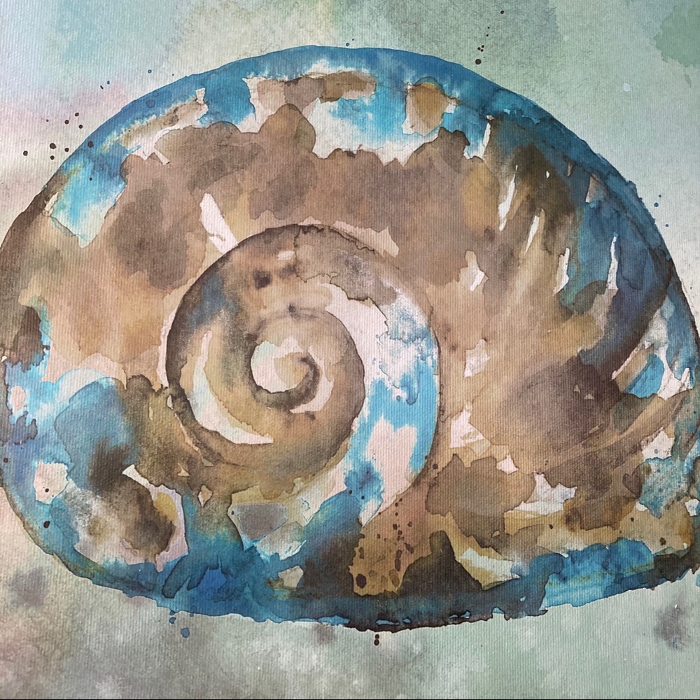Shell Wood Wall Art - Picture 3 of 3